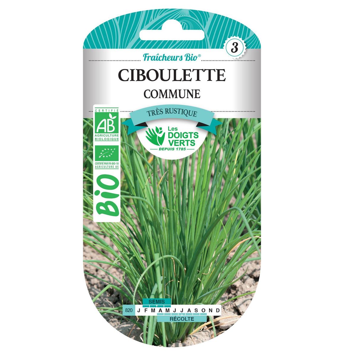 LES DOIGTS VERTS Graines ciboulette fine danoise BIO Les Doigts Verts