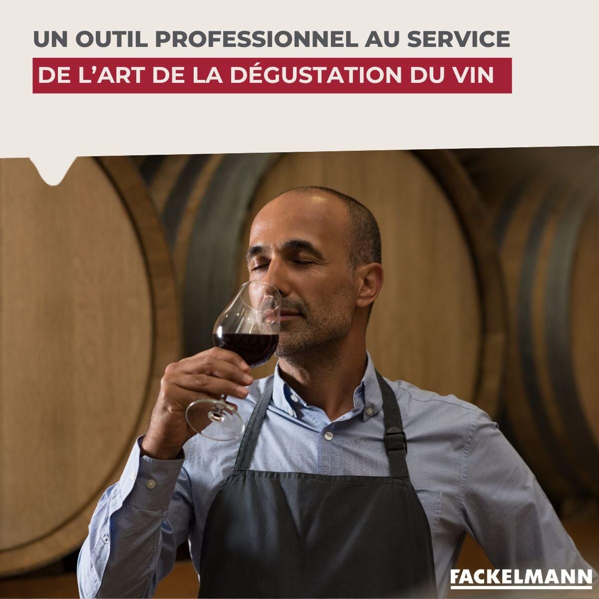 Fackelmann Bouchon verseur et aérateur de vin Fackelmann Bar Concept