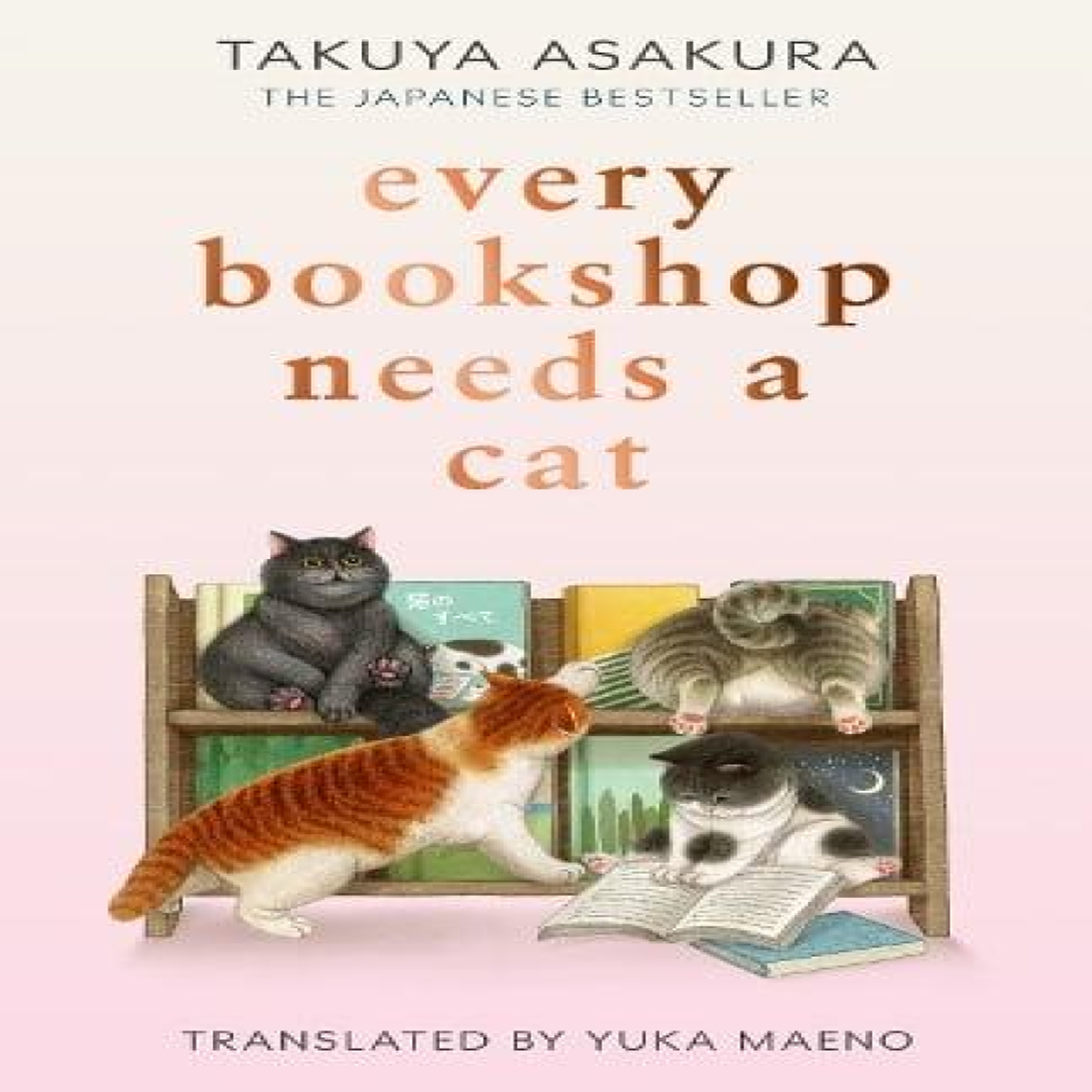 LIVRES EVERY BOOKSHOP NEEDS CAT HB