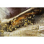Voir la diapositive 4 : Paris Prix Tableau Peinture  Nairobi I  52x102cm Multicolore