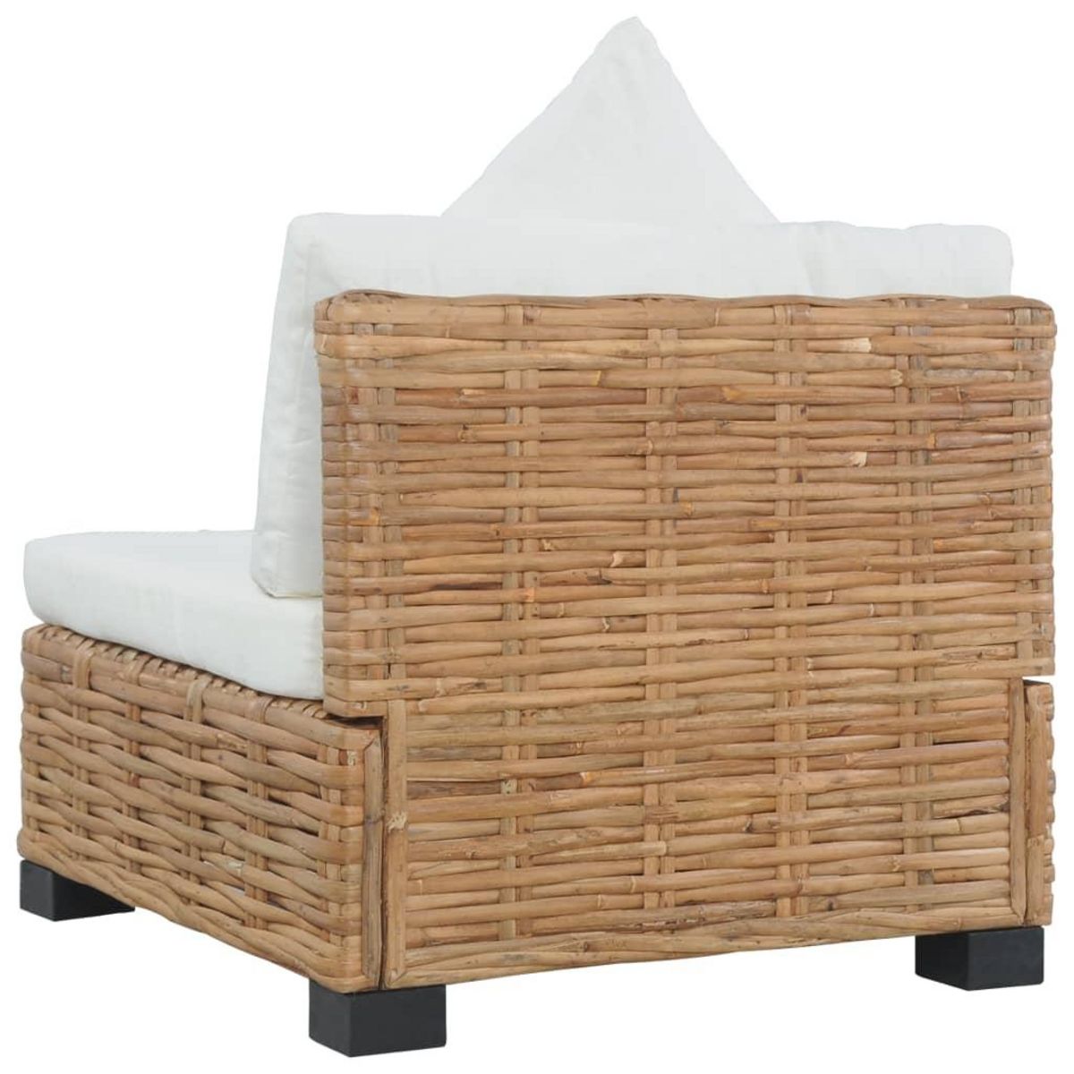 VIDAXL Canape sans accoudoirs avec coussins Rotin naturel