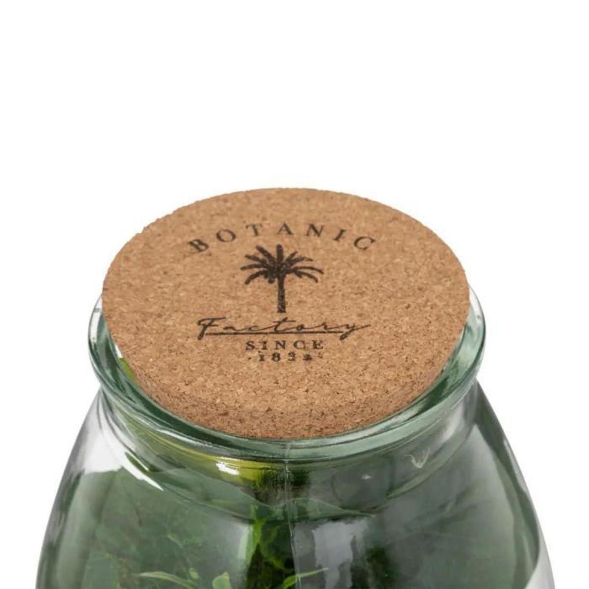 ATMOSPHERA Terrarium en Verre  Bota  29cm Transparent & Vert