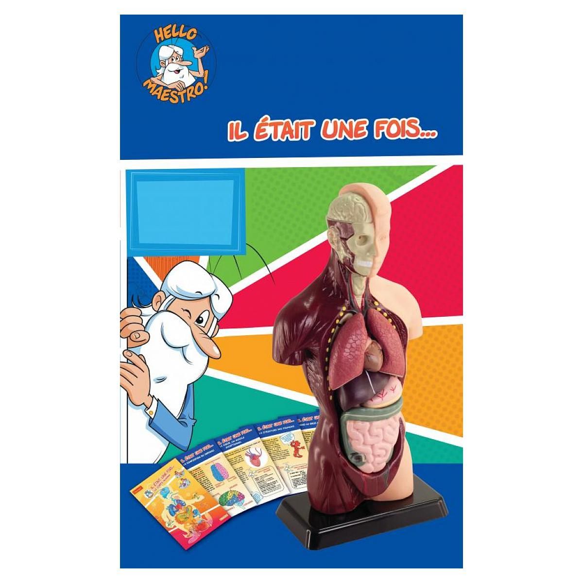 SILVERLIT Decouvre le corps humain avec hello maestro - il etait une fois la vie