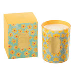 Paris Prix Bougie Parfumée  Happiness Blooms  13cm Ylang Ylang