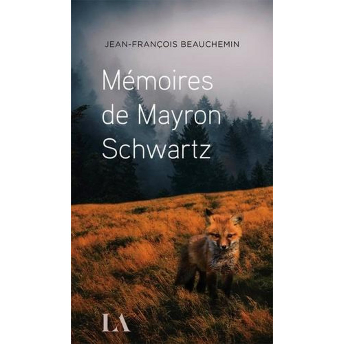 MEMOIRES DE MAYRON SCHWARTZ, Beauchemin Jean-François