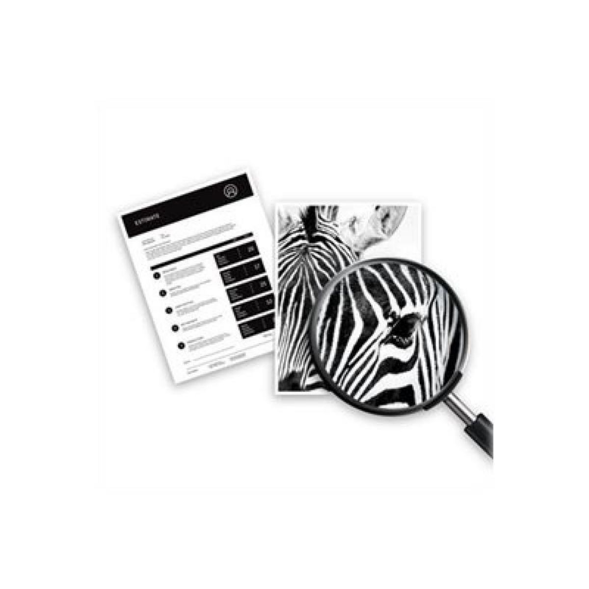 HP HP Ink No 650 HP650 HP 650 Color (CZ102AE)