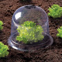 Voir la diapositive 3 : ID MARKET Cloche à salades x12 serre de protection pour plants