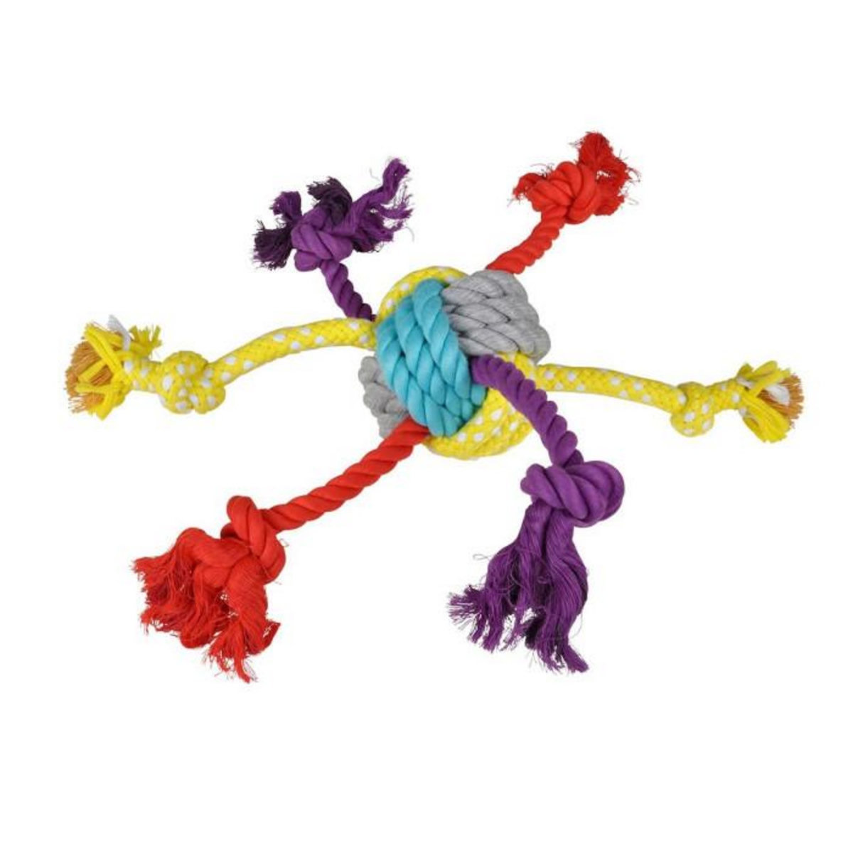 Paris Prix Jouet pour Chien  Corde & 6 Nœuds  30cm Multicolore