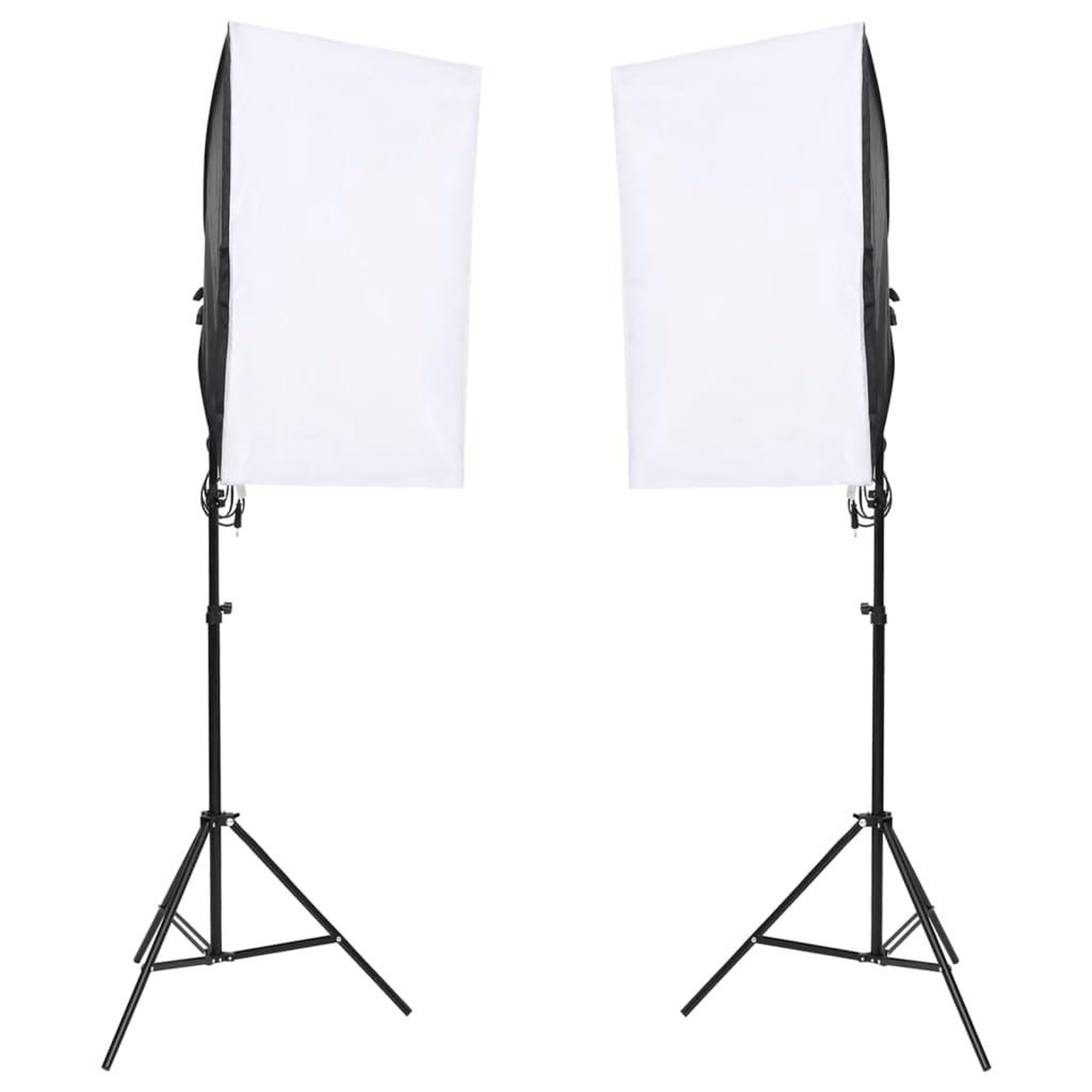 Voir la diapositive 2 : VIDAXL Kit de studio photo avec eclairage et toile de fond