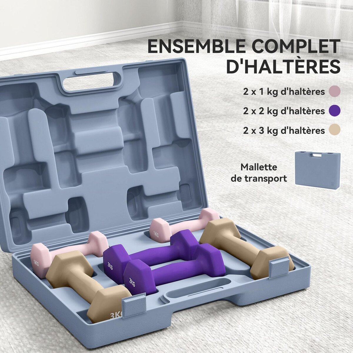HOMCOM Ensemble d'haltères hexagonales total 12 Kg 6 pièces 1-3 Kg avec mallette multicolore