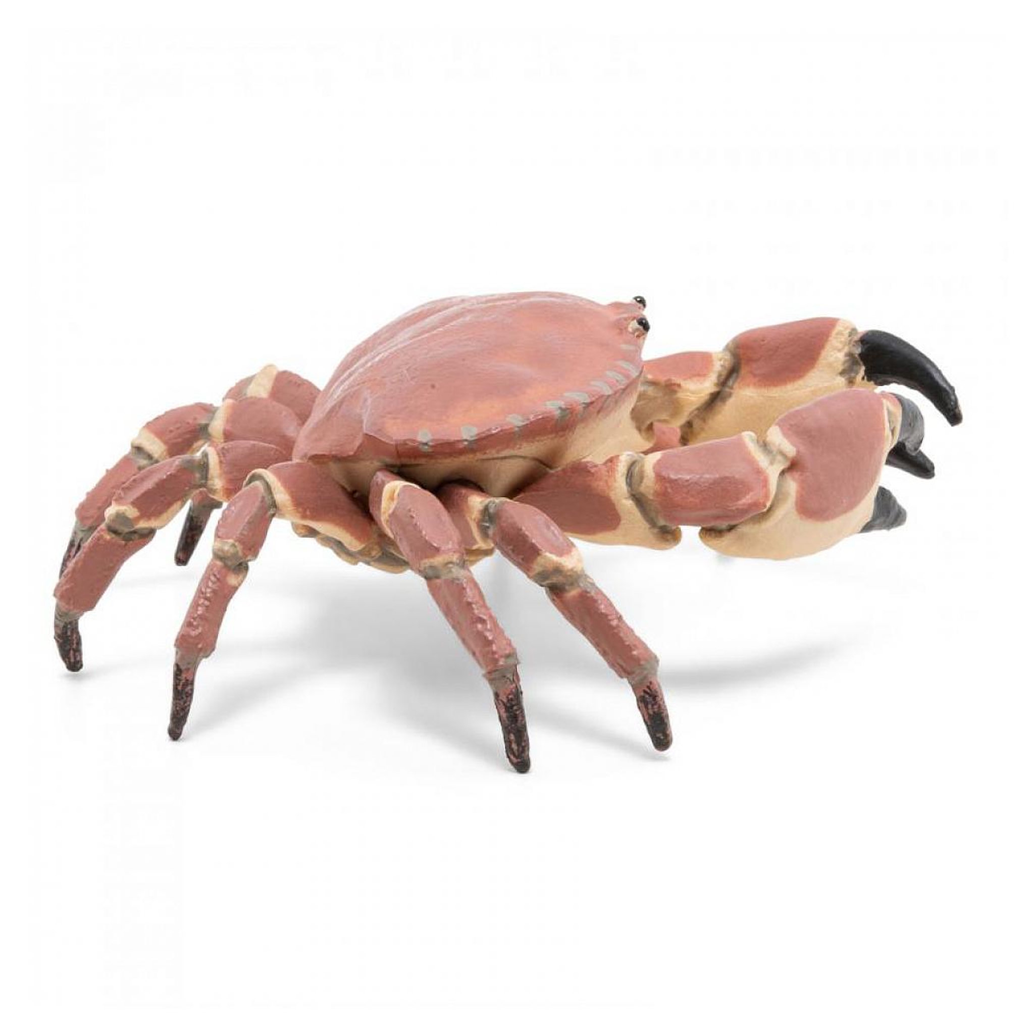 Voir la diapositive 3 : Papo 56047 - Crabe Figurine