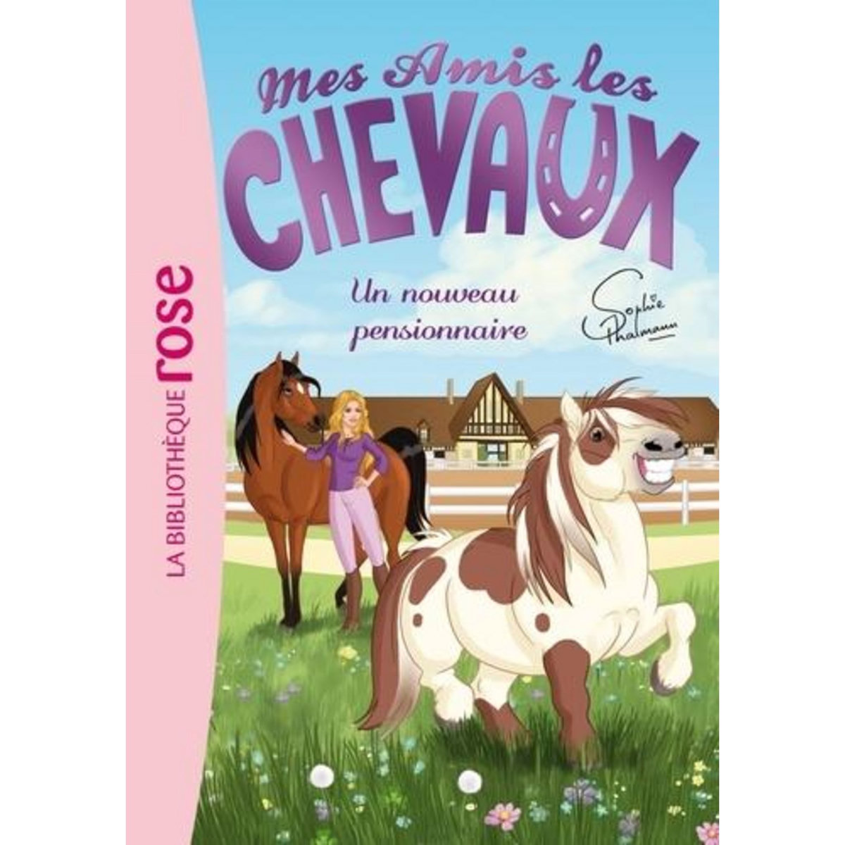 MES AMIS LES CHEVAUX TOME 1 : UN NOUVEAU PENSIONNAIRE, Godeau Natacha
