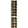 Voir la diapositive 5 : Peak-design Accessoires photo Peak Design Micro Clutch I Plate