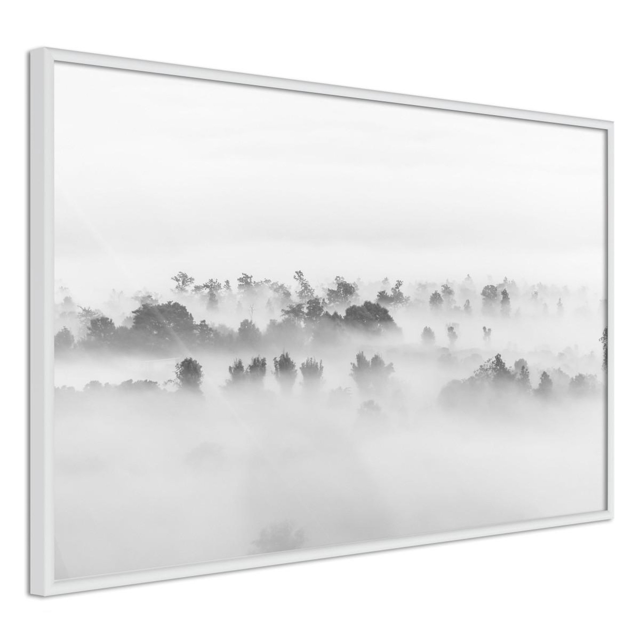 Paris Prix Affiche Murale Encadrée  Fog Over the Forest