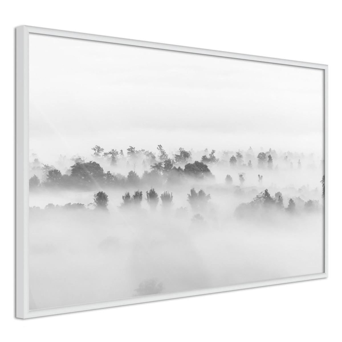 Paris Prix Affiche Murale Encadrée  Fog Over the Forest