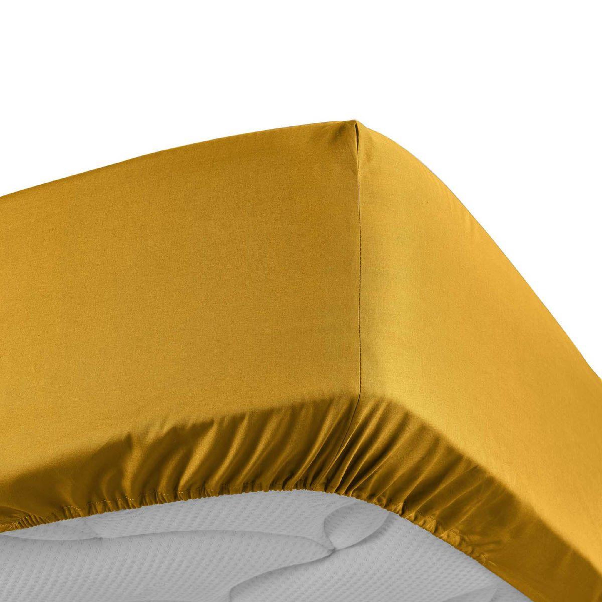 Douceur d'Intérieur Drap housse  percaline  180x200cm curry