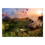 Voir la diapositive 2 : Paris Prix Papier Peint  Bear in the Mountain