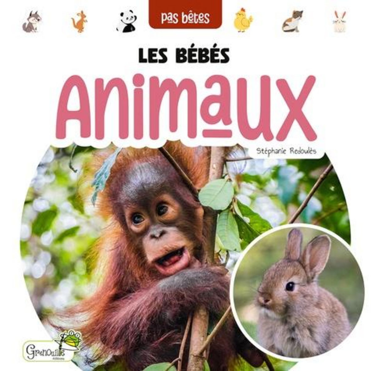 LES BEBES ANIMAUX, Redoulès Stéphanie