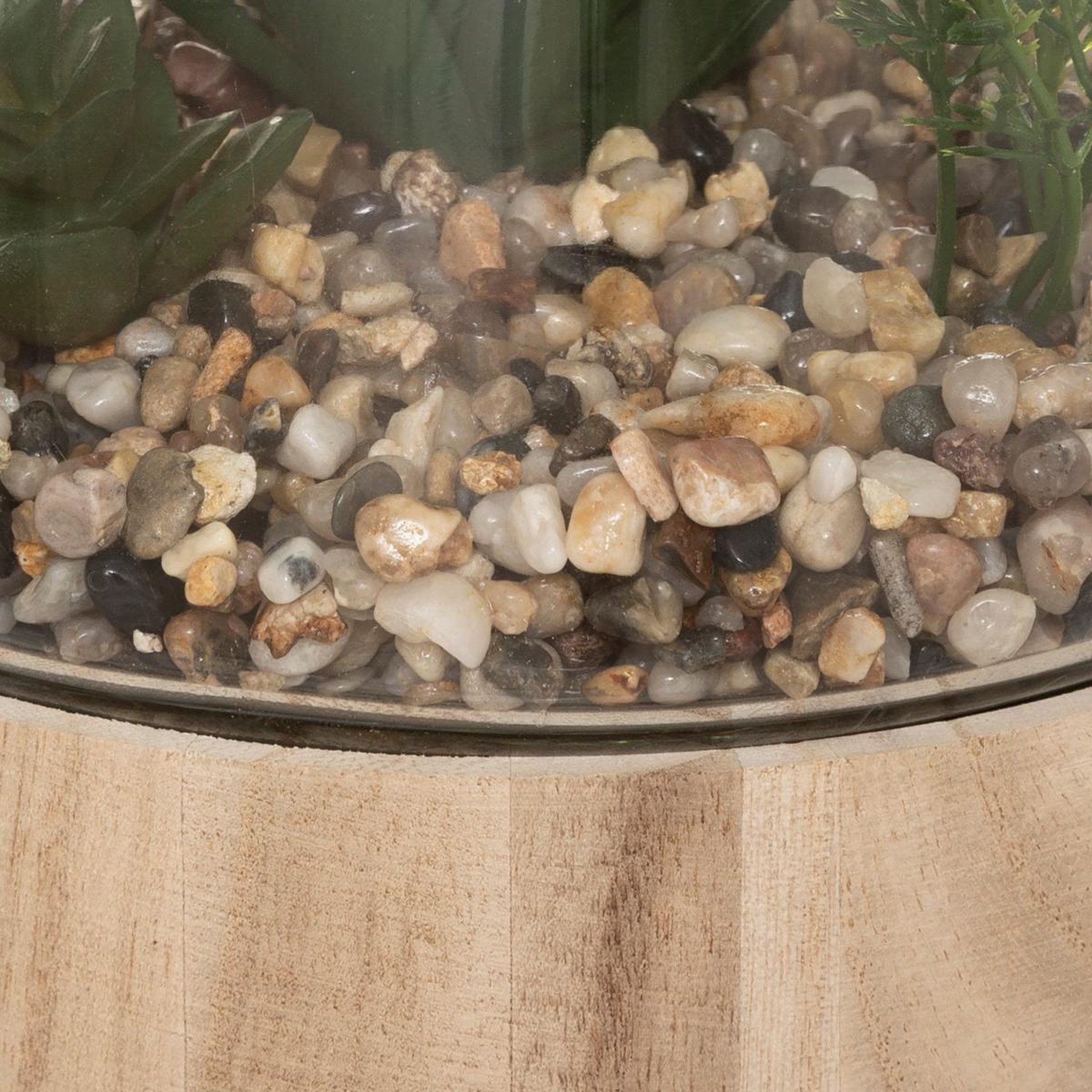 Voir la diapositive 3 : ATMOSPHERA Terrarium en verre & bois  brito  17cm transparent