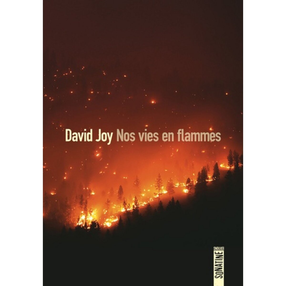  NOS VIES EN FLAMMES, Joy David