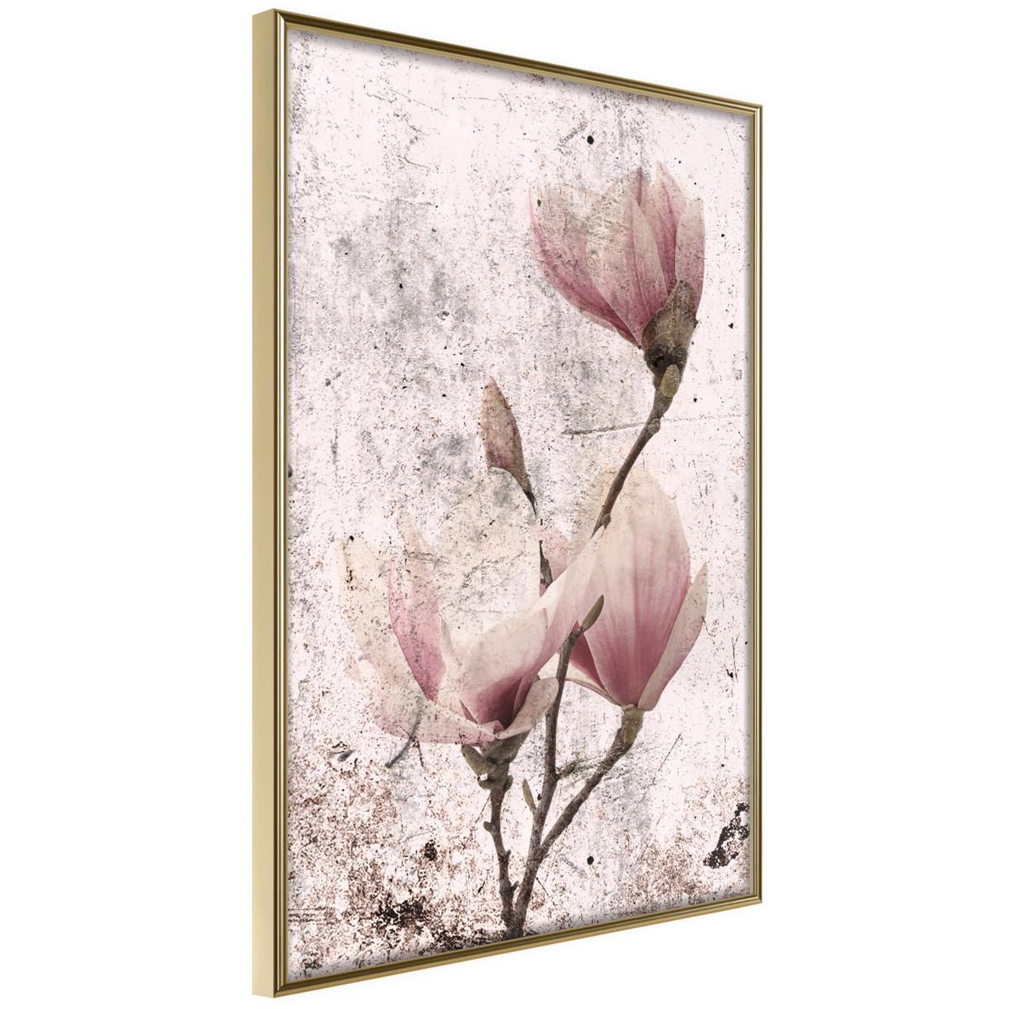 Paris Prix Affiche murale encadrée  queen of spring flowers ii