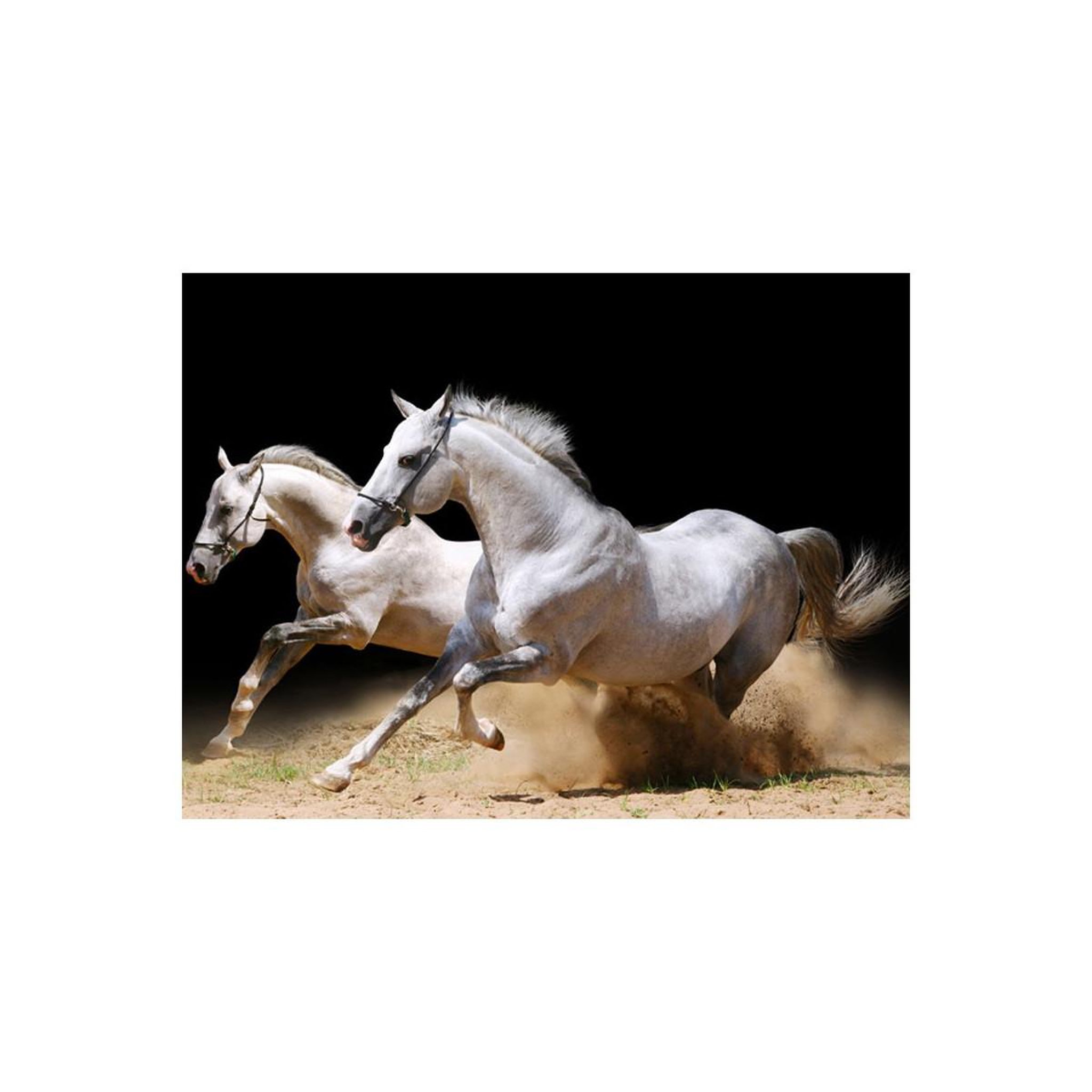 Voir la diapositive 2 : Paris Prix Papier Peint  Chevaux au Galop sur du Sable