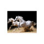 Voir la diapositive 2 : Paris Prix Papier Peint  Chevaux au Galop sur du Sable
