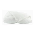 Toison d'or TOISON D'OR - Couette Daisy chaude (300g/m²) - 220x240cm - Plumette et duvet - 2 personnes - Blanc
