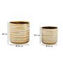 Voir la diapositive 6 : Paris Prix Lot de 2 Vases en Céramique  Blom  23cm Or & Blanc