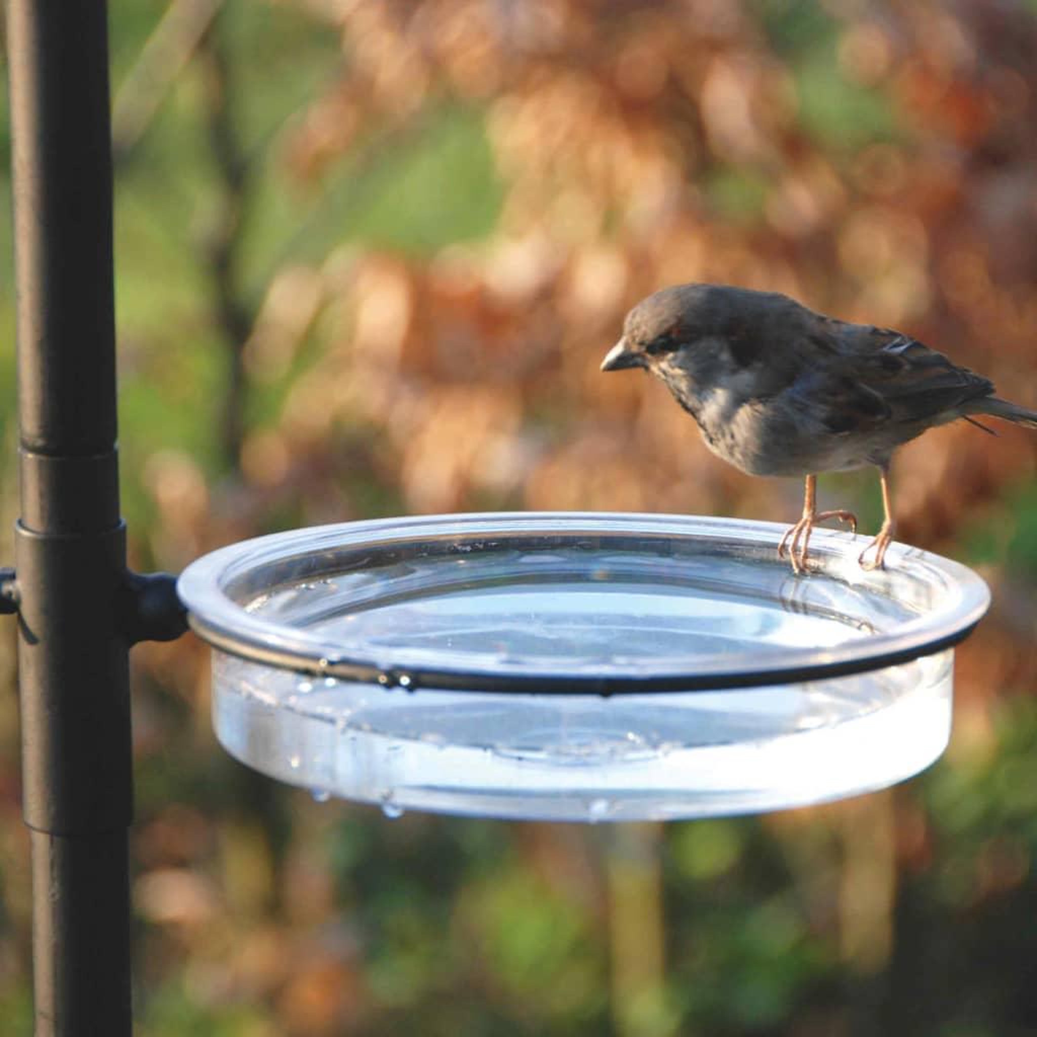 Voir la diapositive 4 : ESSCHERT DESIGN Esschert Design Mangeoire a oiseaux FB150