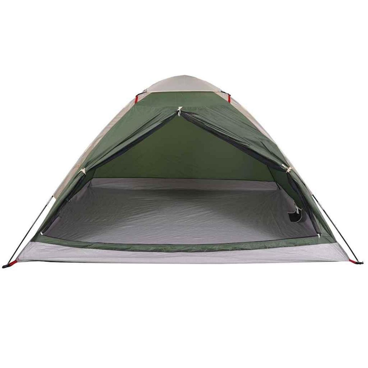 VIDAXL Tente de camping a dome 2 personne vert impermeable