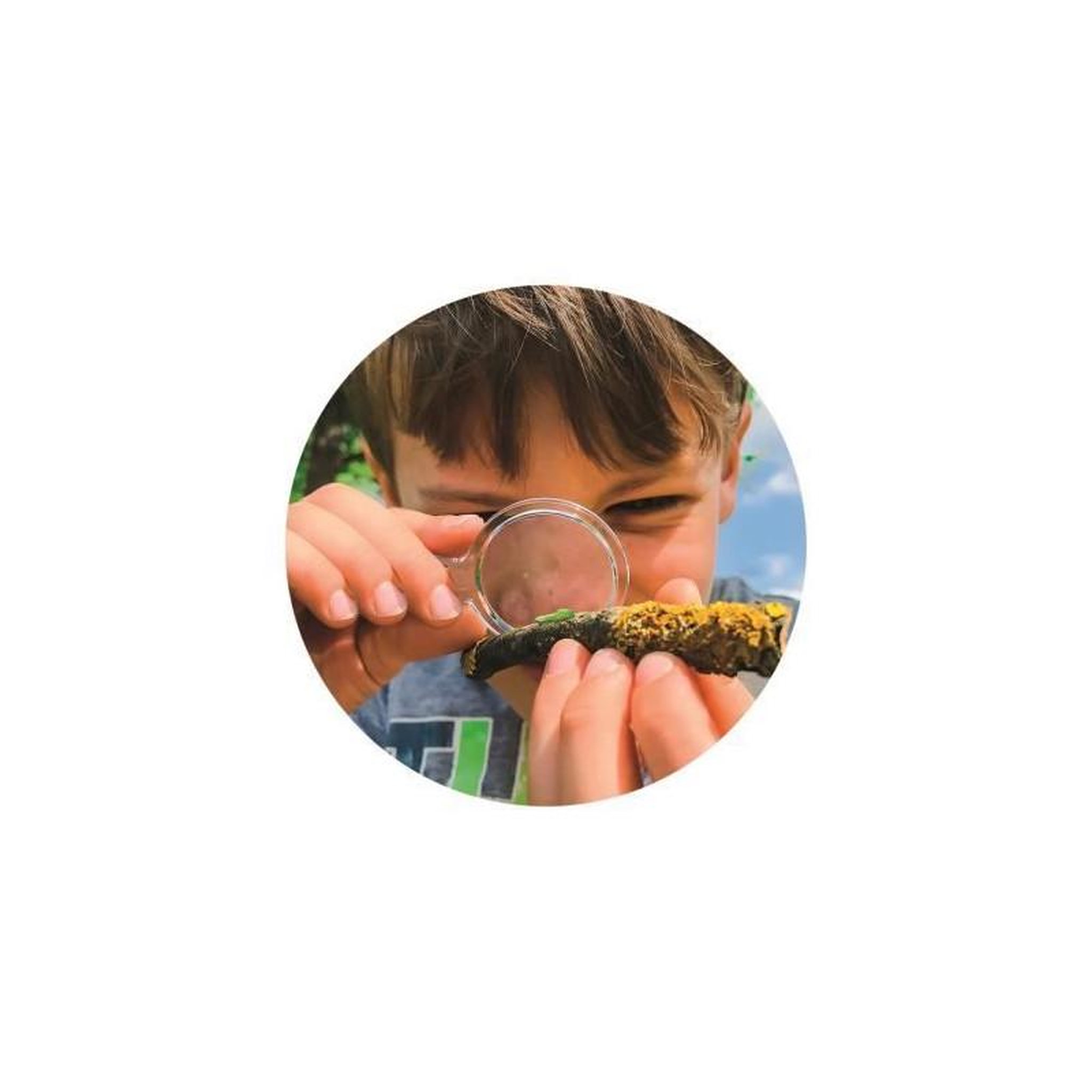 Voir la diapositive 4 : CLEMENTONI La maison des insectes CLEMENTONI