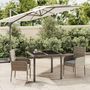 Voir la diapositive 1 : VIDAXL Ensemble a manger de jardin 3 pcs coussins gris resine tressee