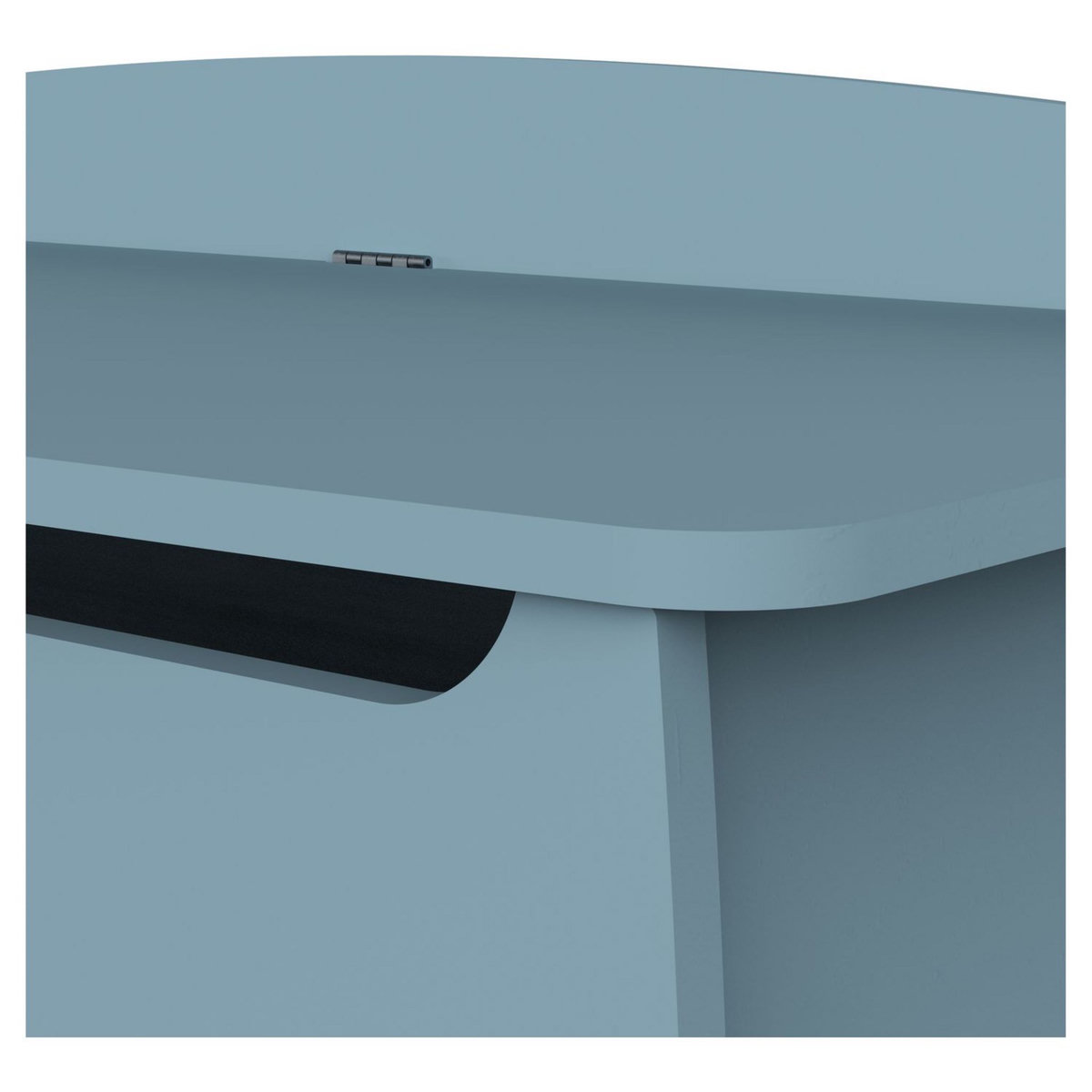 Coffre à jouets avec couvercle bleu LINIA 