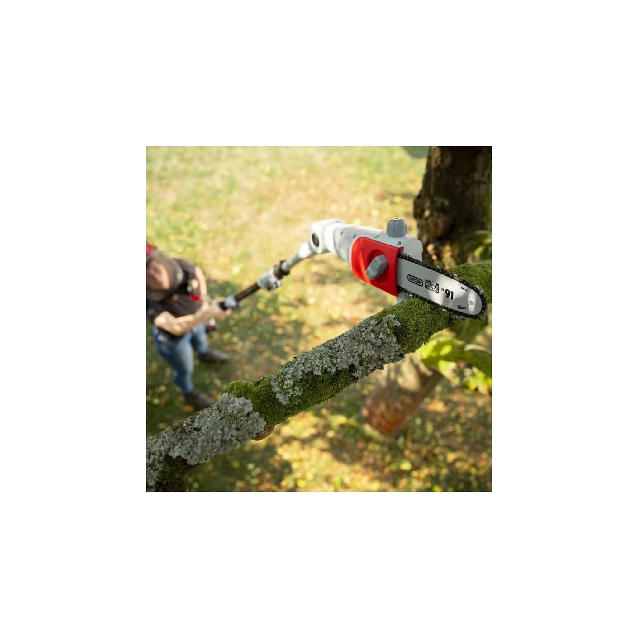 Voir la diapositive 3 : Ikra Elagueur sur perche 20v télescopique jusqu'à 4m - elagueuse guide oregon 20cm- inclus batterie lithium 2.0ah+ chargeur ikra