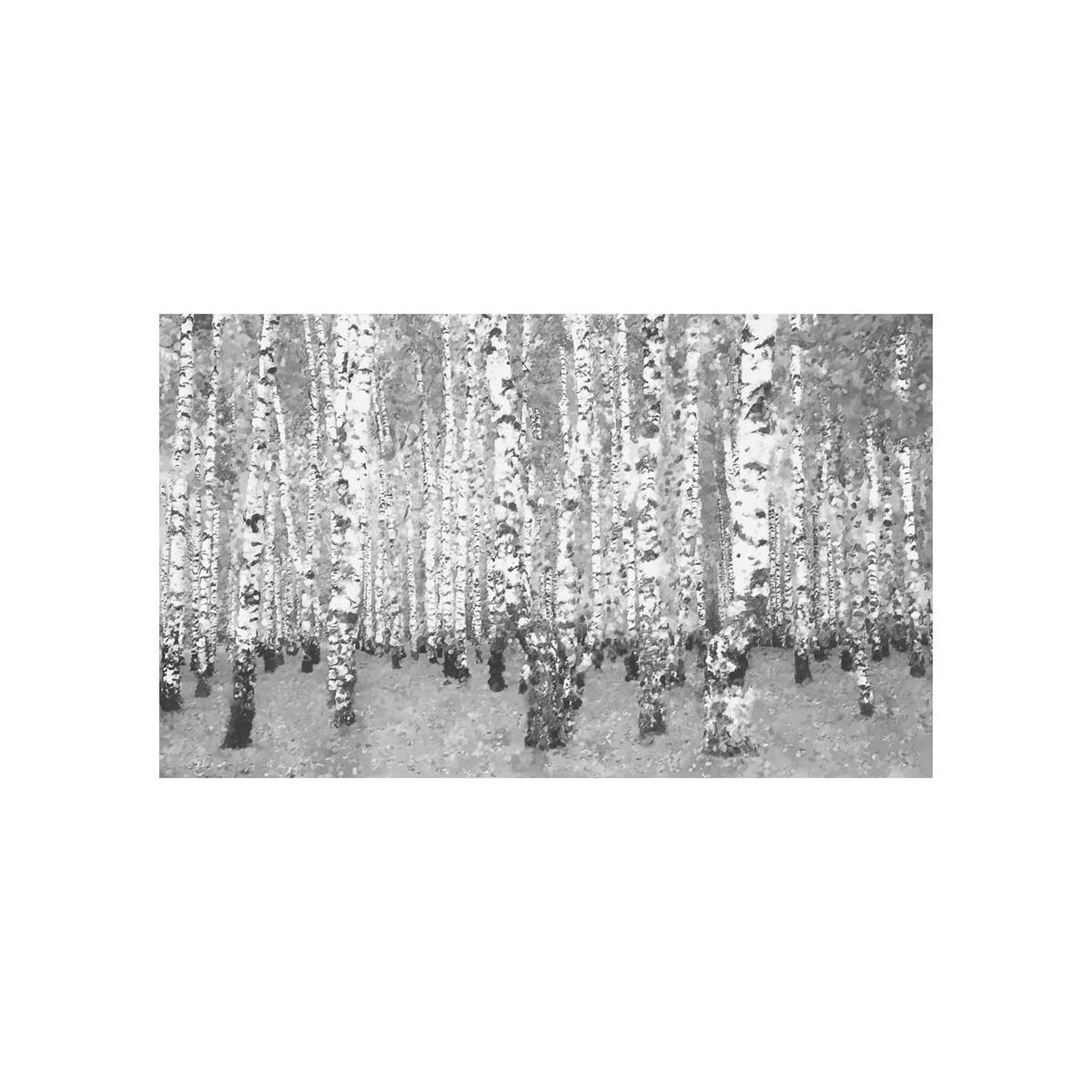 Voir la diapositive 2 : Paris Prix Papier peint  birch seclusion ii  450x270cm