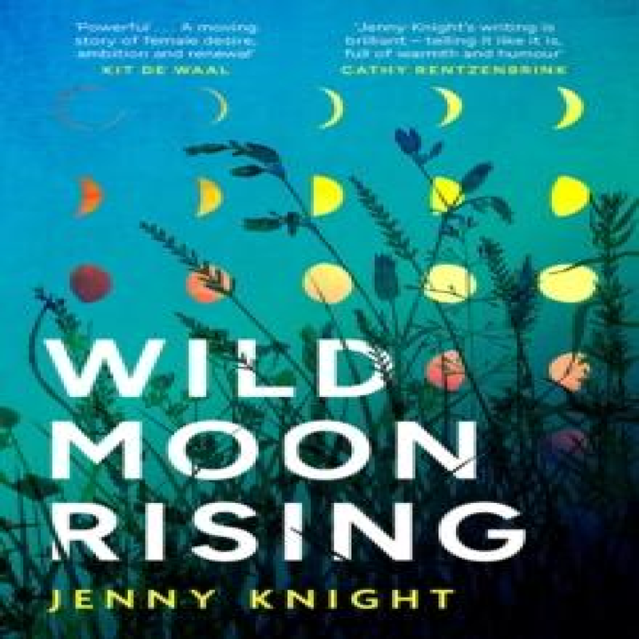 LIVRES WILD MOON RISING PB - Jenny Knight