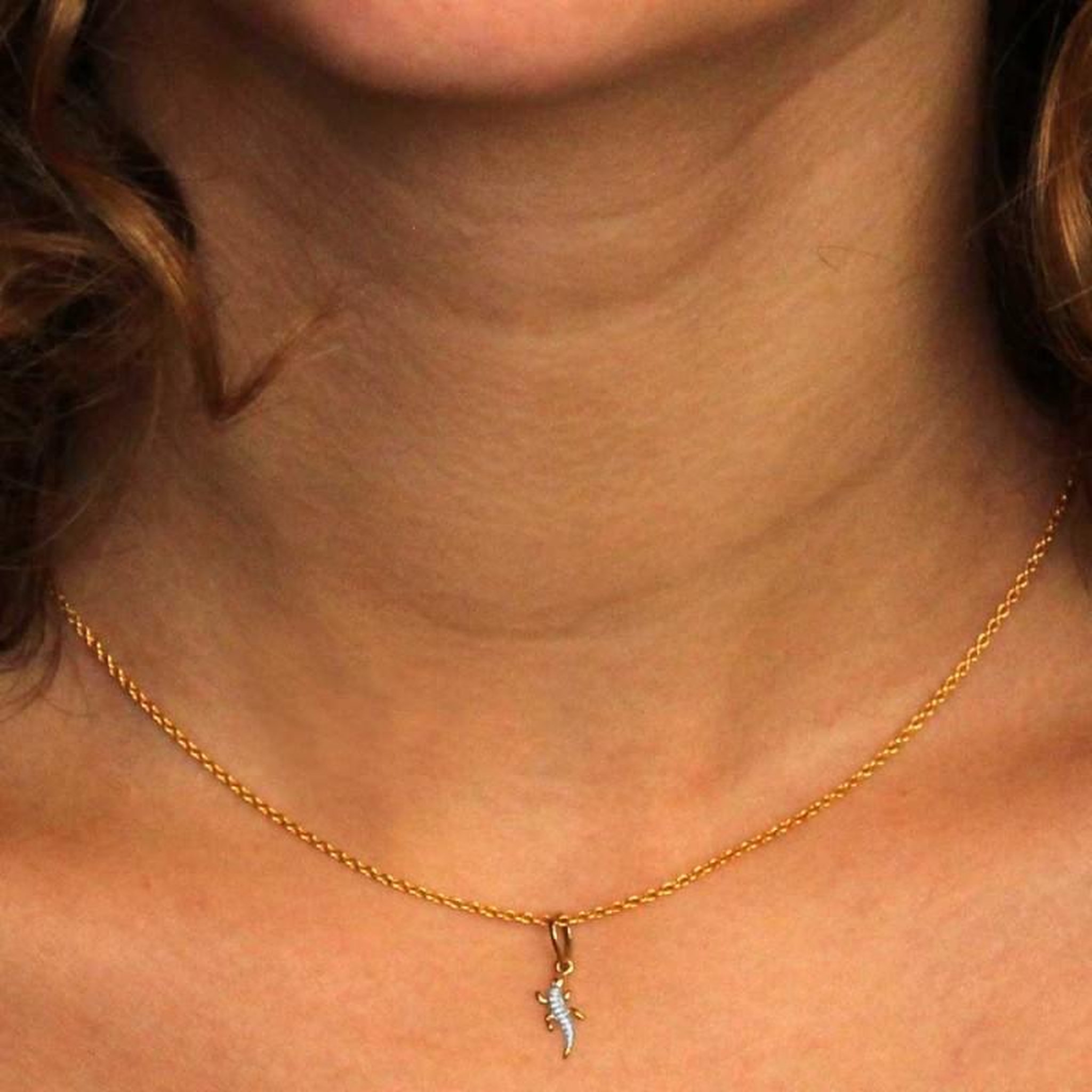 Voir la diapositive 4 : L'ATELIER D'AZUR Collier - Pendentif Or Bicolore Salamandre - Chaine Dorée