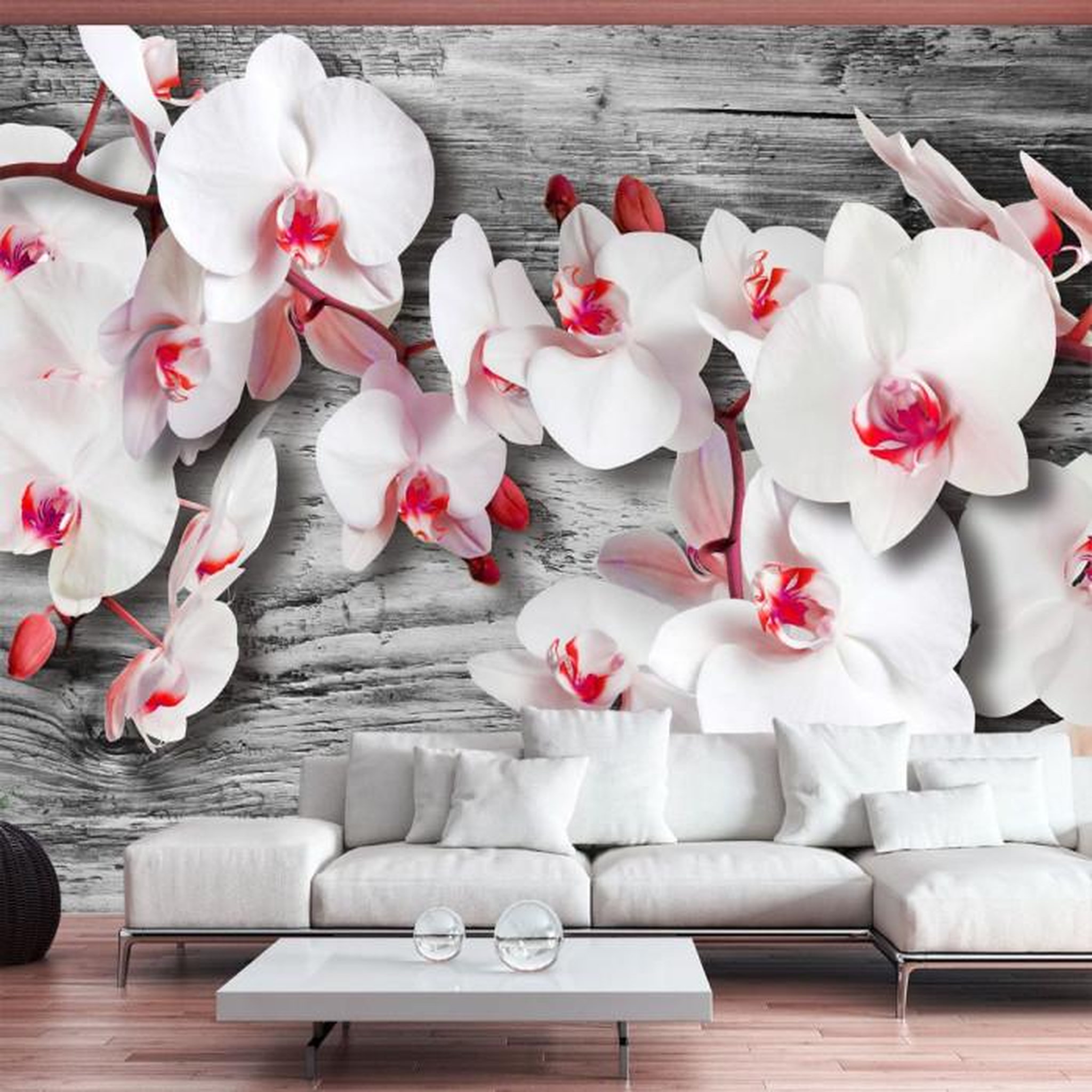 Paris Prix Papier Peint  Callous Orchids. Coloris disponibles : Multicolore