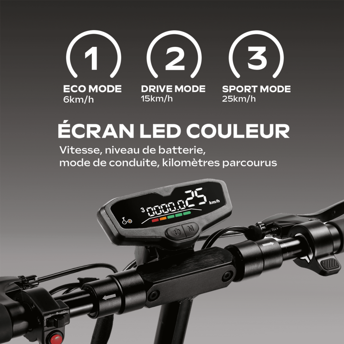 EZWAY Trottinette Électrique Adulte EZWAY EBOOST GO, Autonomie 50 Km, 25 Km/h, Pliable, Suspensions Avant et Arrière, Freins à Disque Double, Roues 10  Offroad