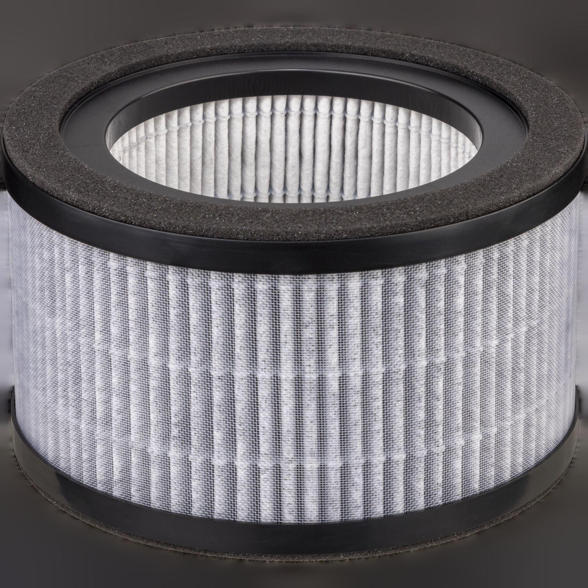Beurer Filtre de remplacement Beurer LR 220 pour purificateur d'air