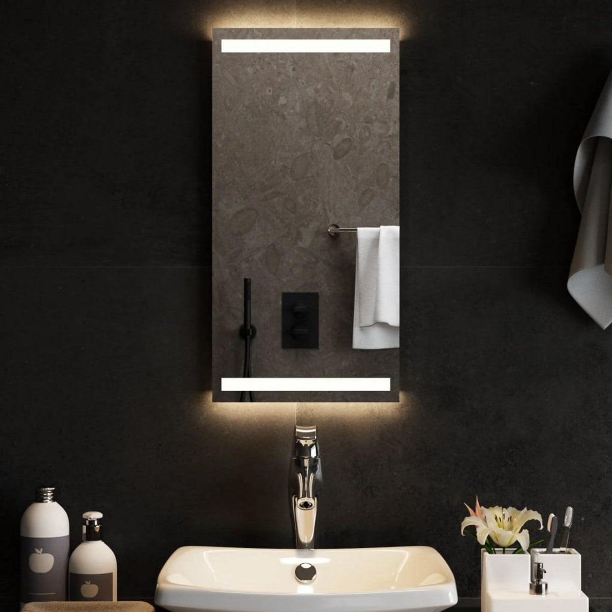 VIDAXL Miroir de salle de bain a LED 30x60 cm