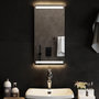 Voir la diapositive 1 : VIDAXL Miroir de salle de bain a LED 30x60 cm