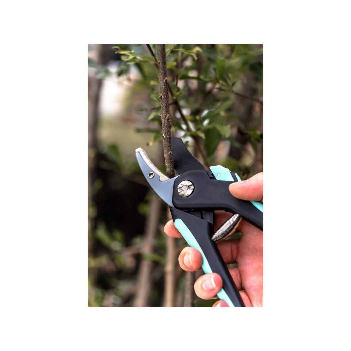 SUAN Lot de 2 sécateurs - Suan - Lame franche et lame enclume - En acier