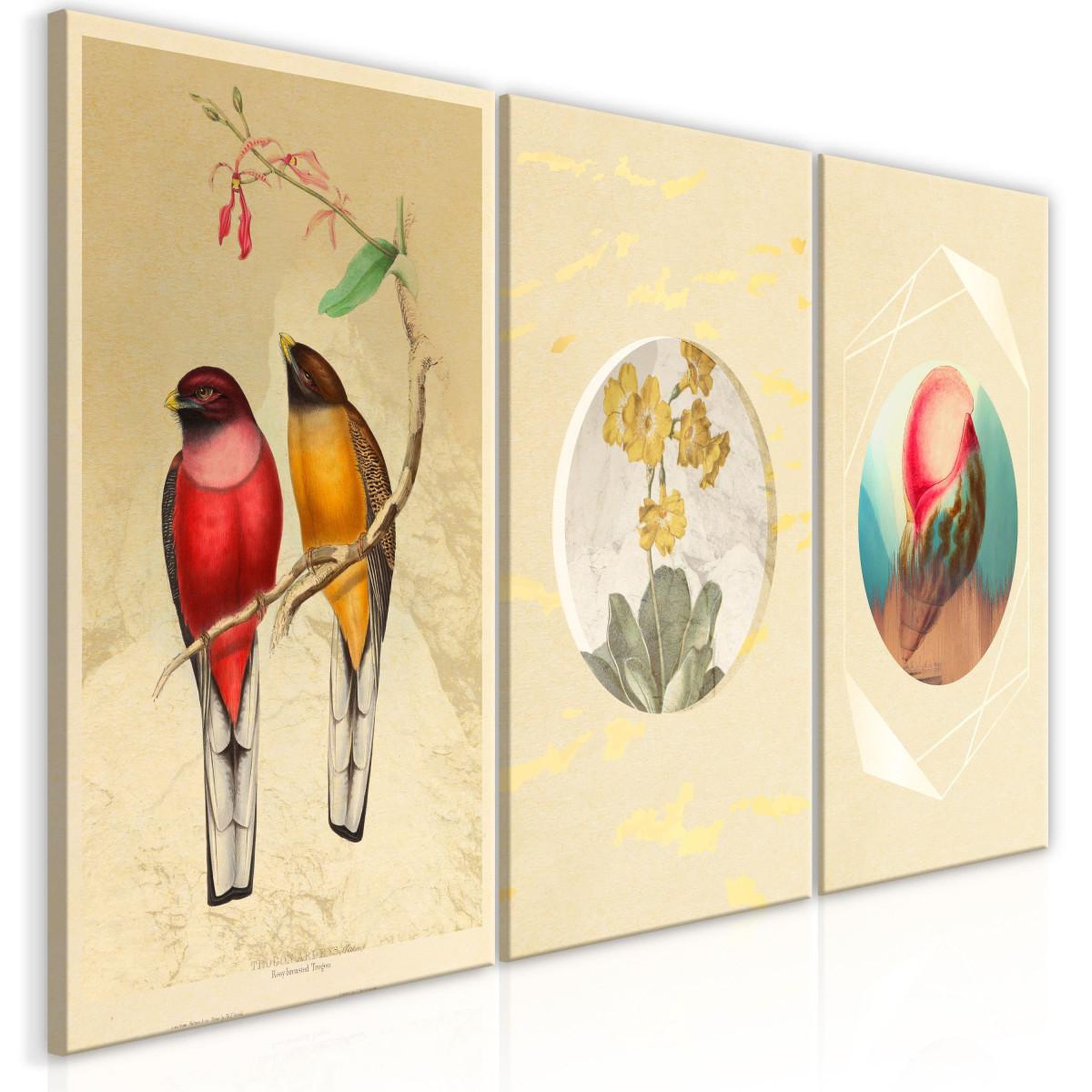Paris Prix Tableau imprimé  forms in nature 3 panneaux  60x120cm