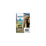 Voir la diapositive 1 : Epson Cartouche imprimante EPSON C 13 T 24324012
