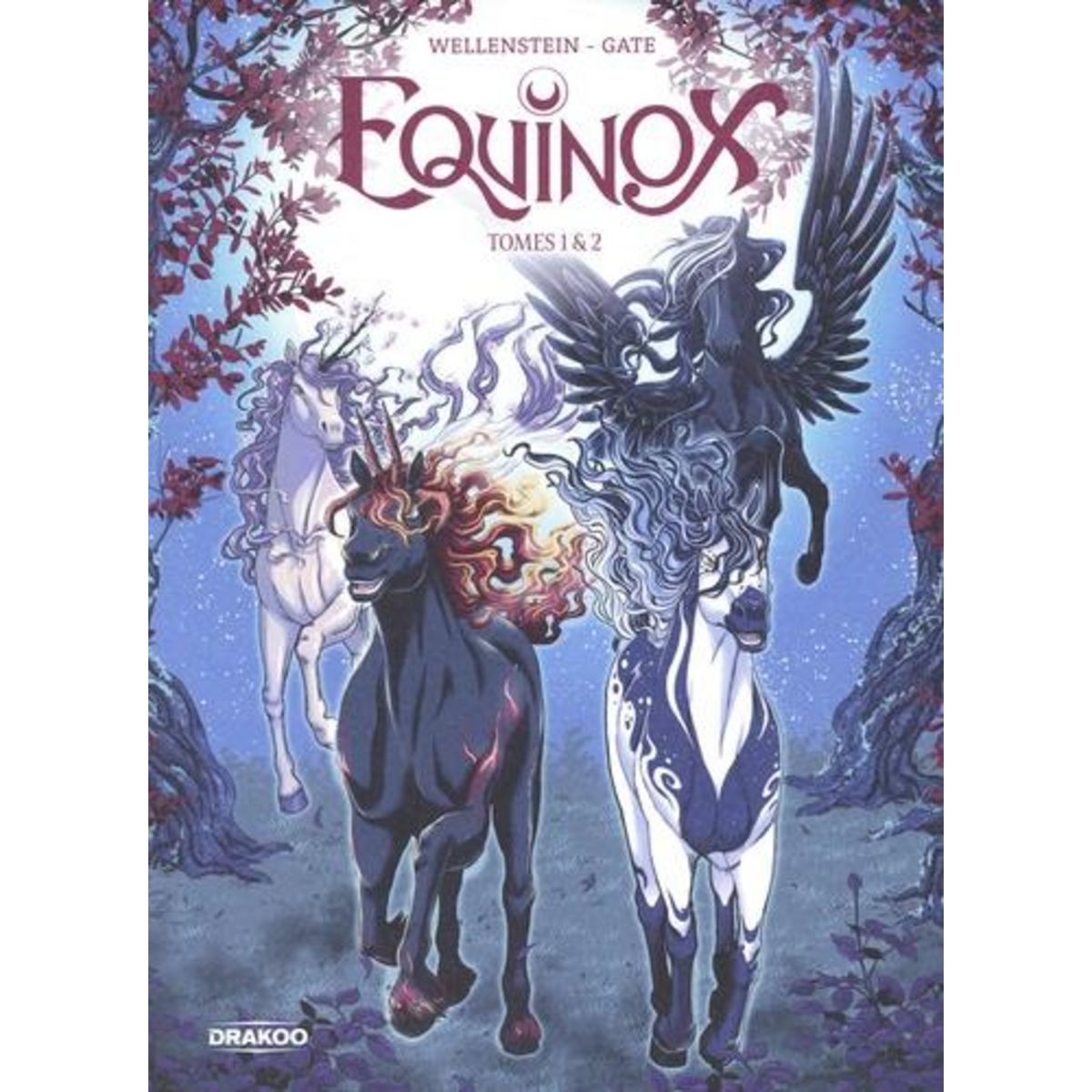 EQUINOX TOMES 1 ET 2 : PACK EN 2 VOLUMES : TOME 1, CHEVAL DE LUNE ; TOME 2, CHEVAL DE MER, Wellenstein Aurélie
