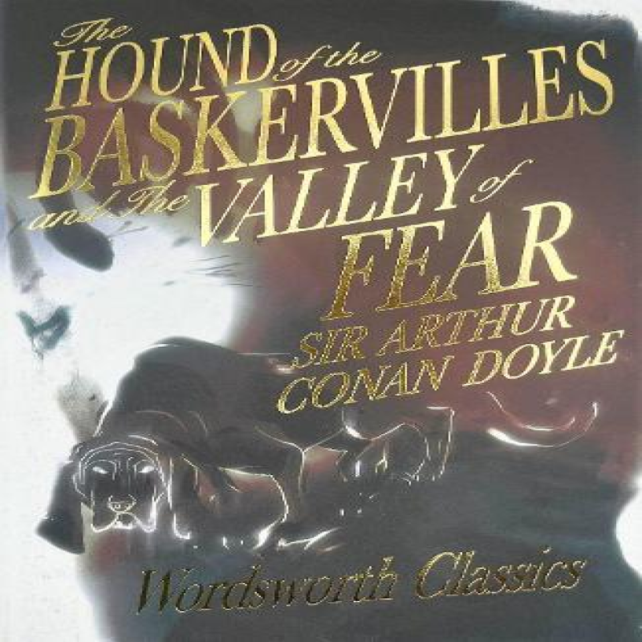 LIVRES Hound of the Baskervilles & The Valley of Fear