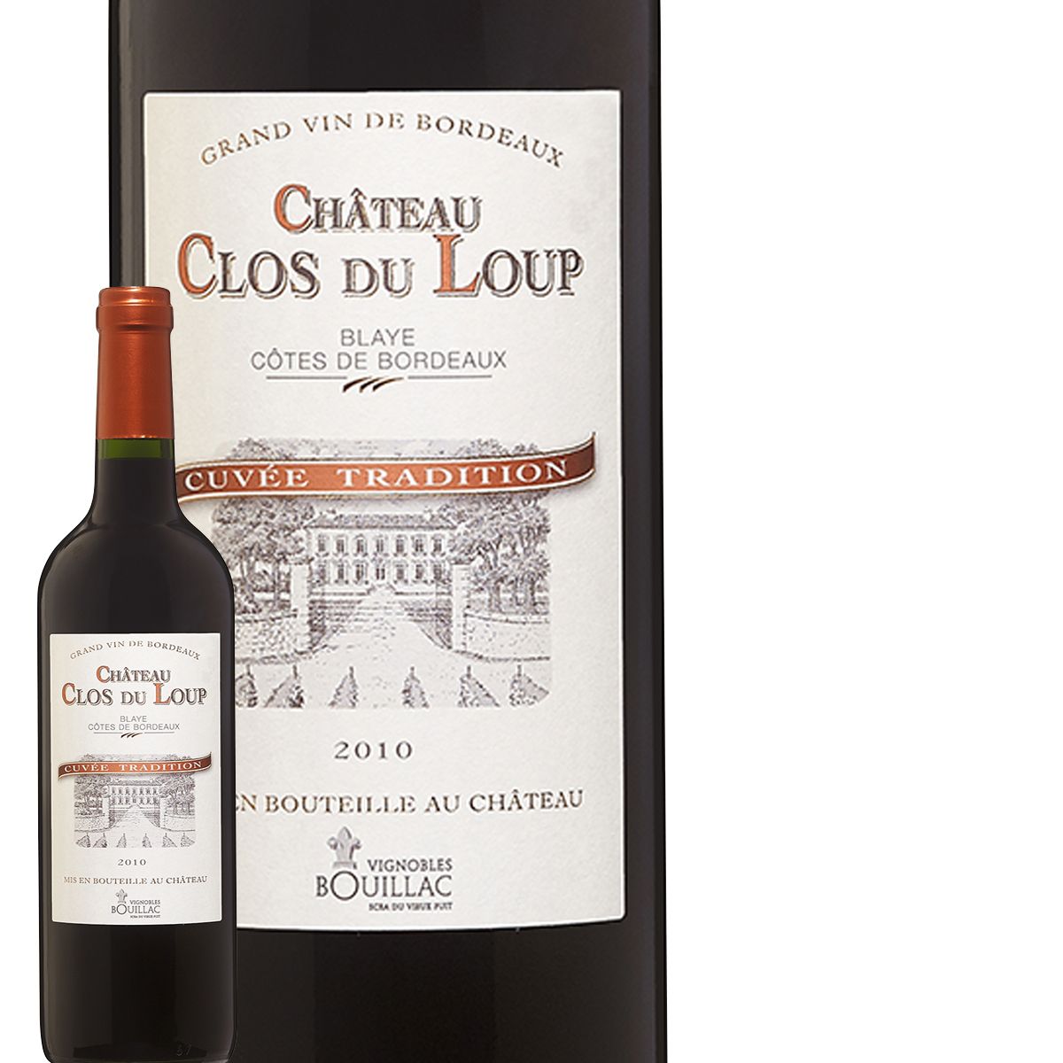 PAT PATROUILLE Lot de 10 paires de chaussettes garçon