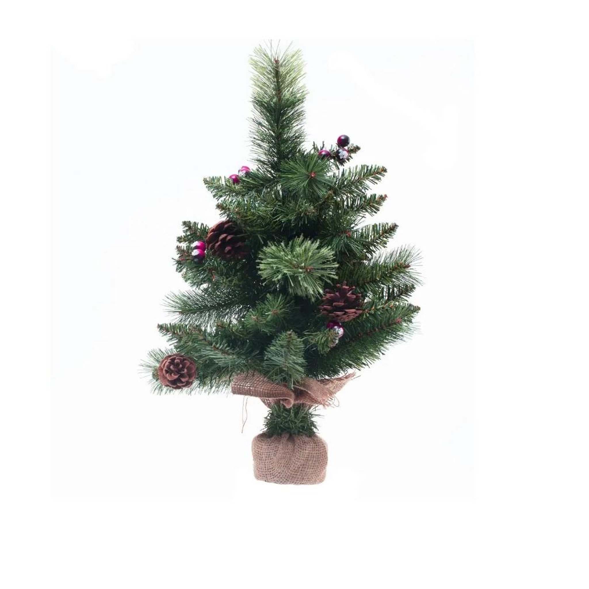 Eden Sapin de noël wyoming beau sapin de décoration